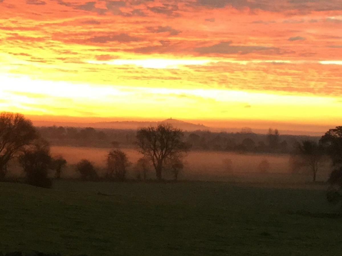 Wedmore Castle Farm Bed & Breakfast エクステリア 写真