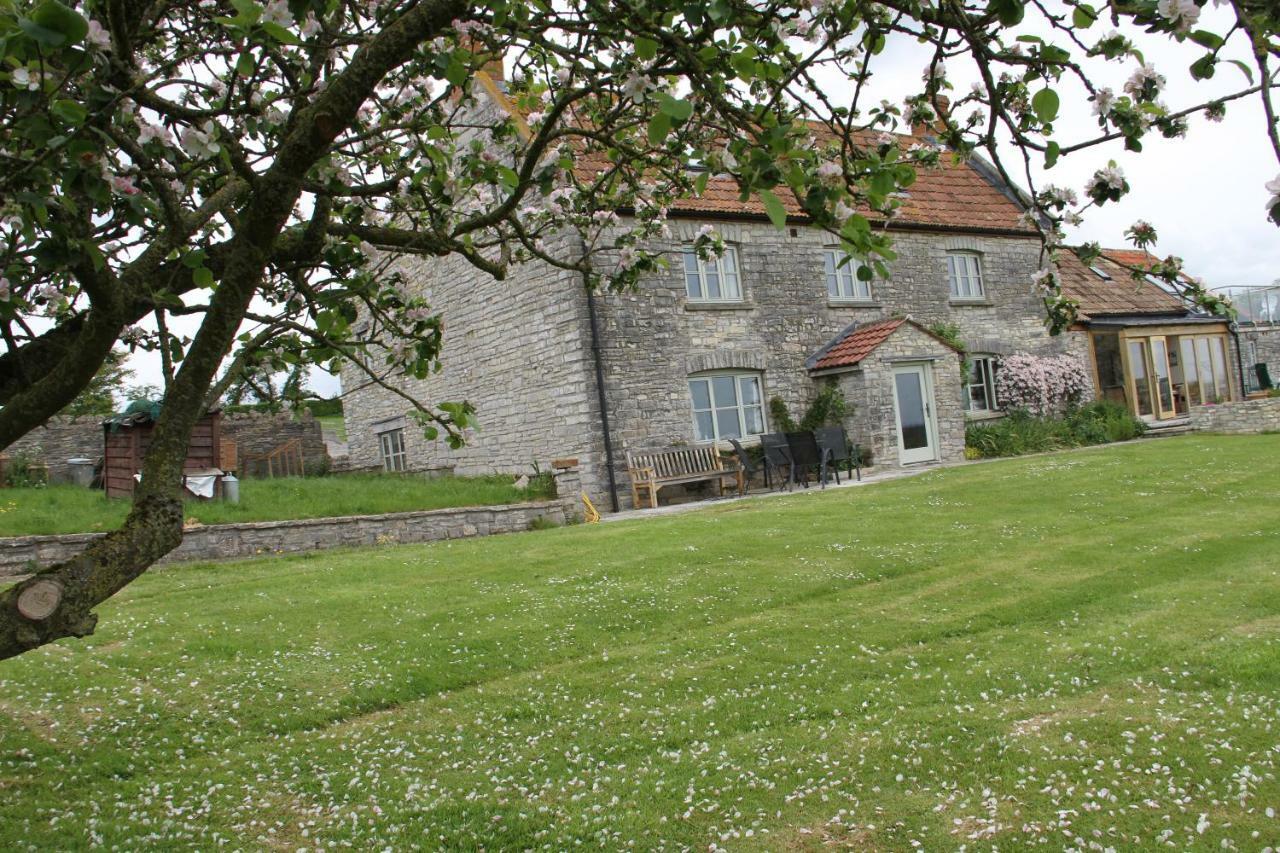 Wedmore Castle Farm Bed & Breakfast エクステリア 写真